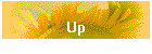 Up